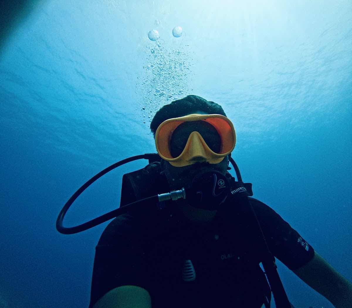 Marine Melodies Diving Academy photo 1