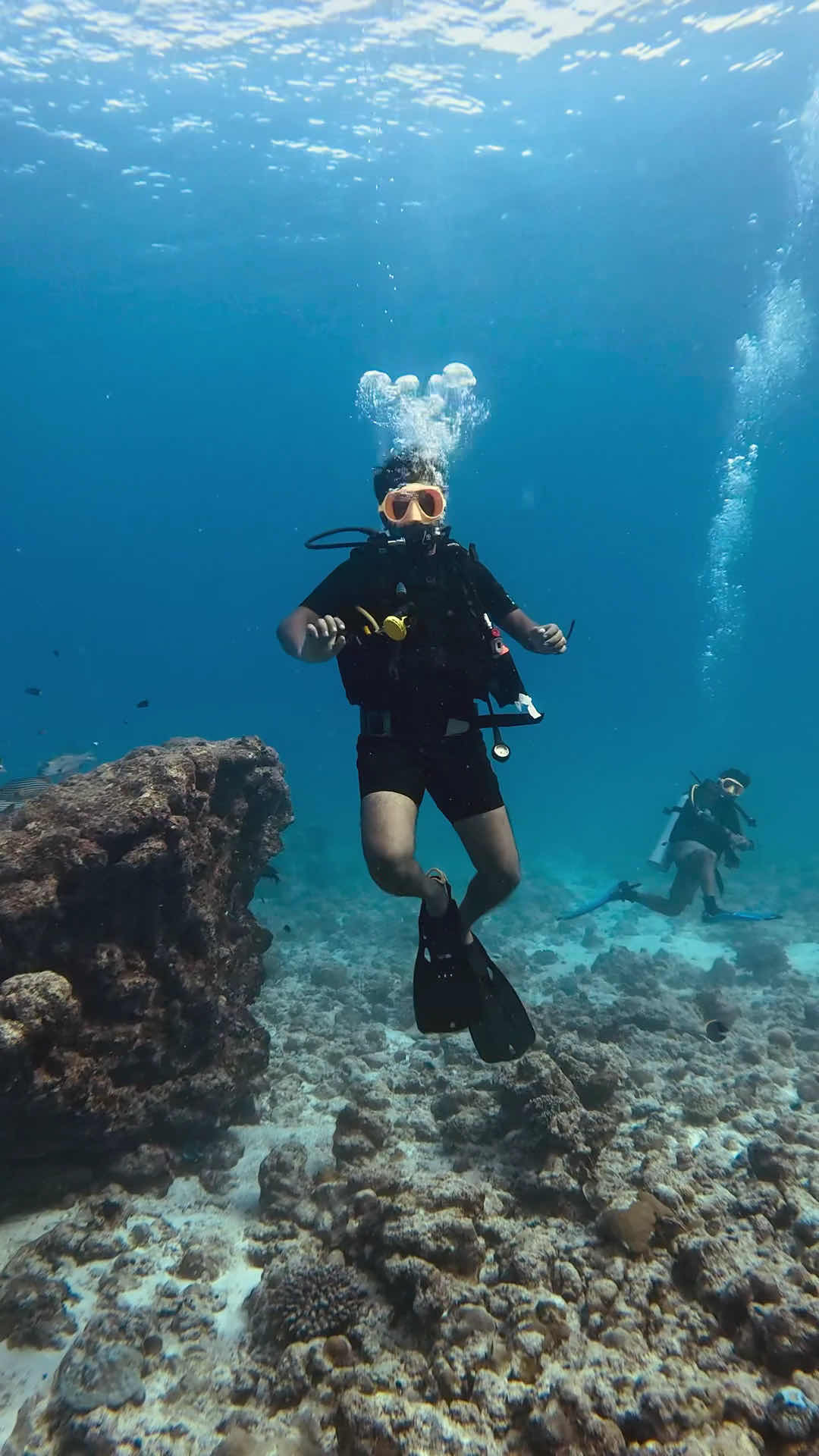 Marine Melodies Diving Academy photo 3