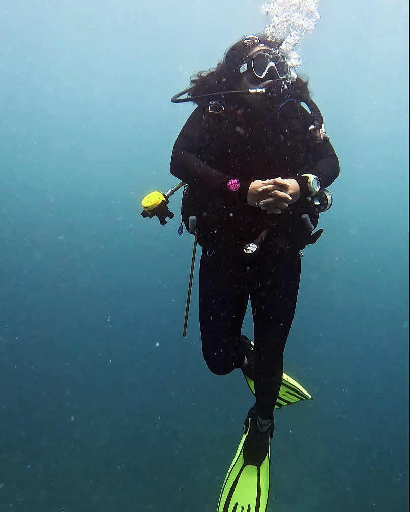Marine Melodies Diving Academy photo 4