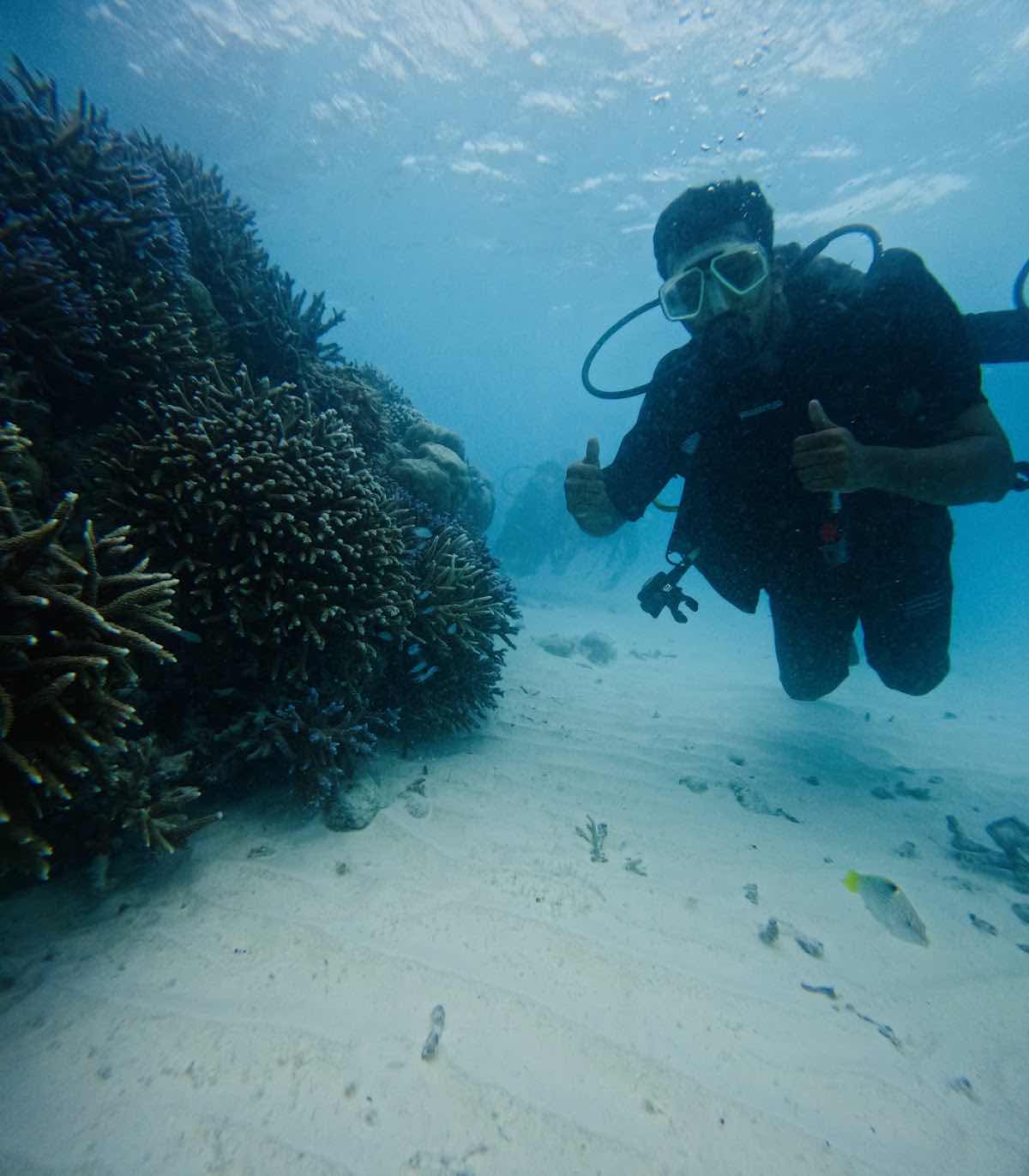 Marine Melodies Diving Academy photo 5