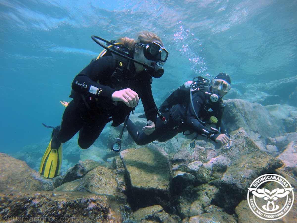 DivingCanarias photo 3