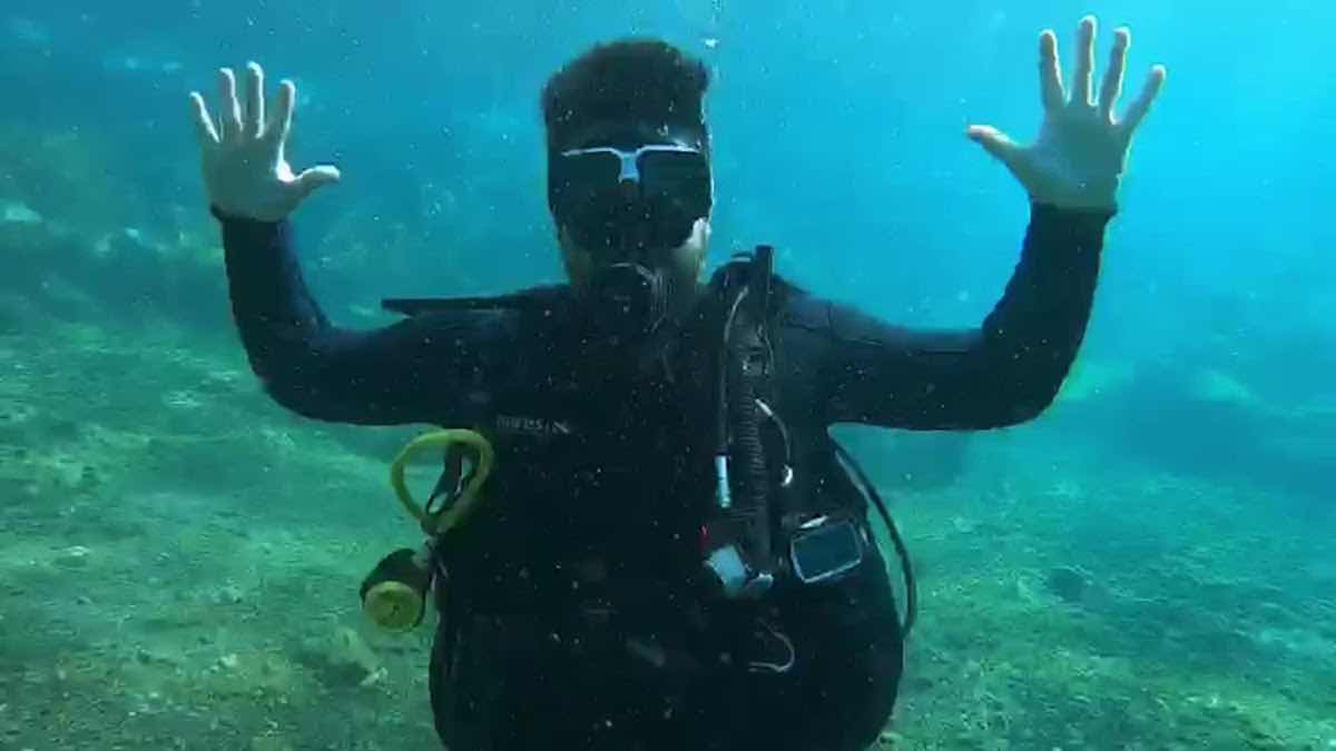 DivingCanarias photo 4