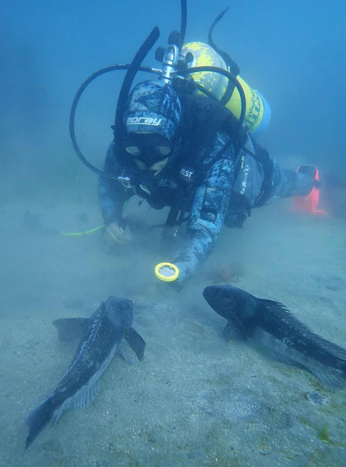 Dive HQ Wellington photo 1
