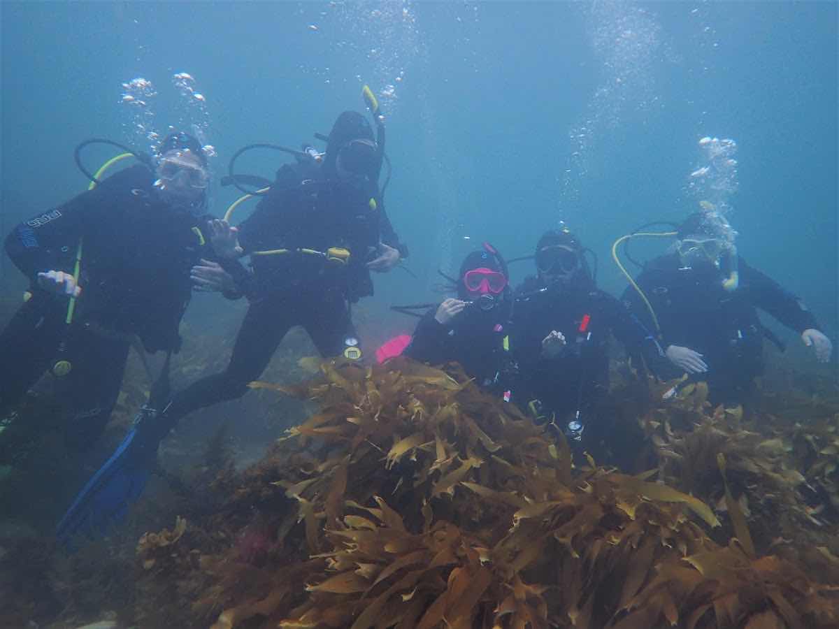 Dive HQ Wellington photo 7