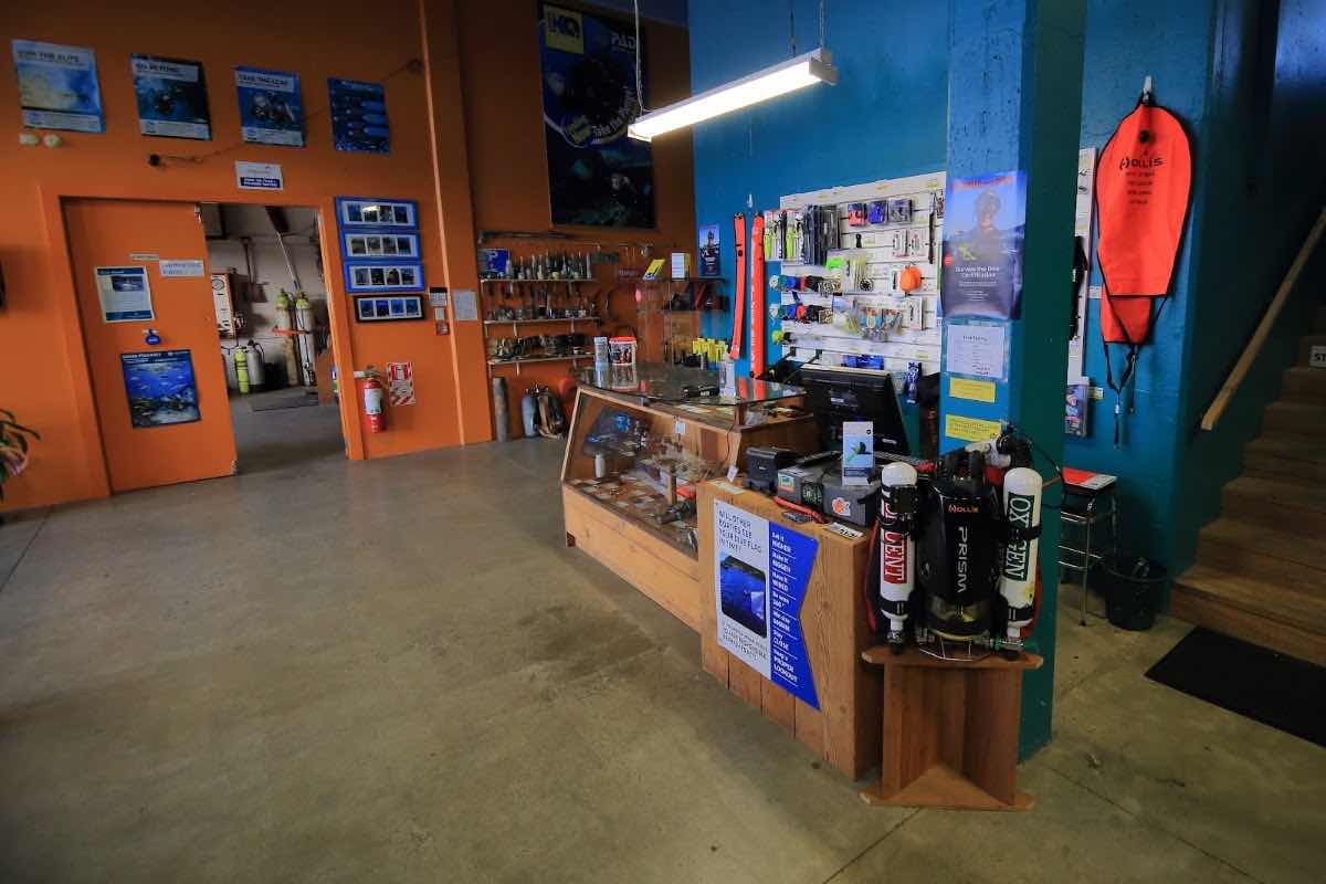 Dive HQ Wellington photo 8