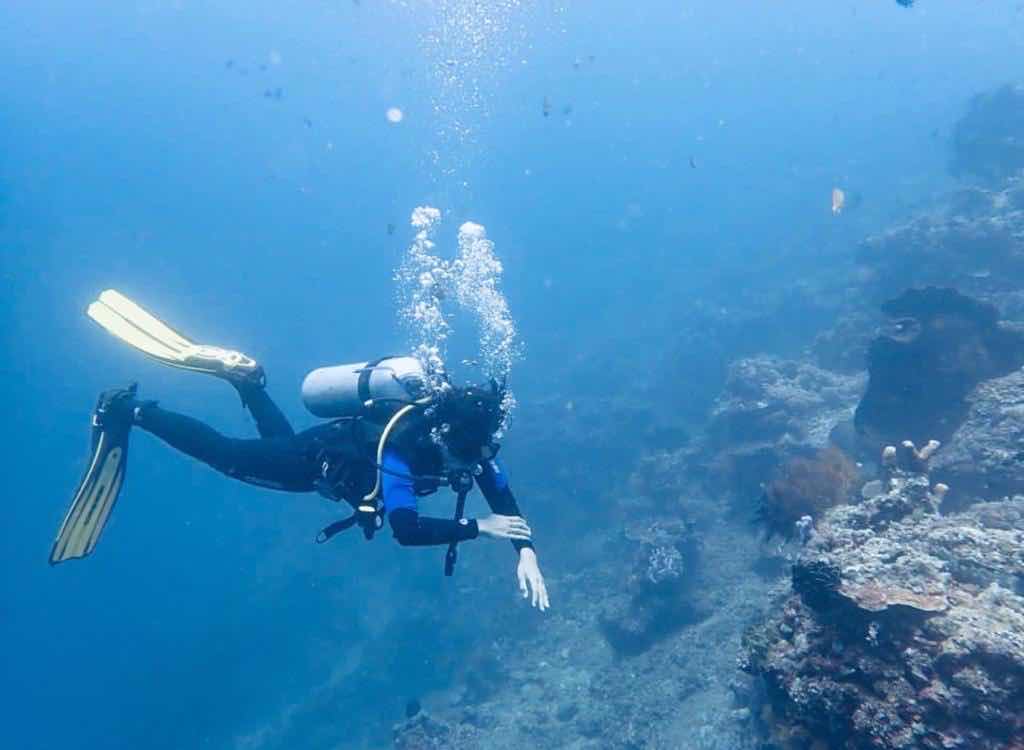 Ambon Dive Explore photo 4