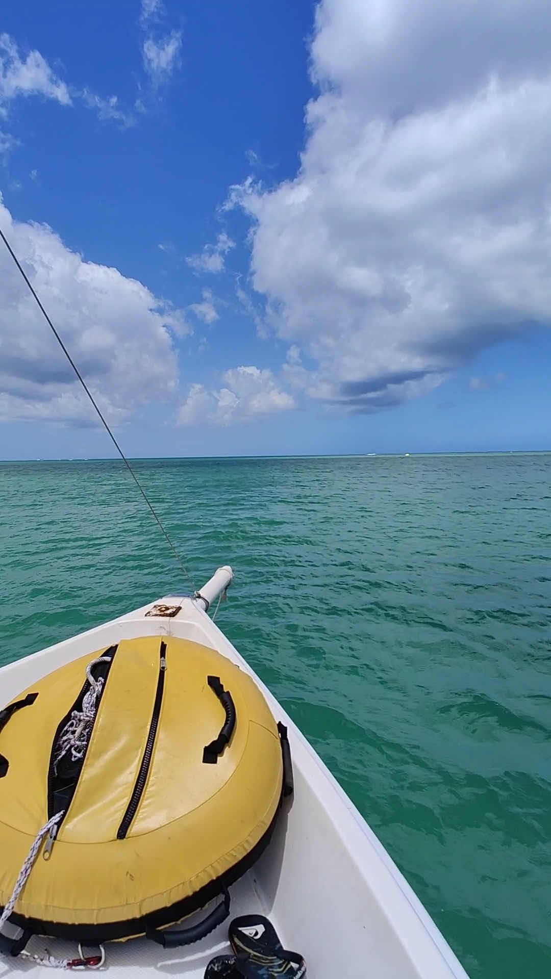 Trident Freediving Mauritius photo 3