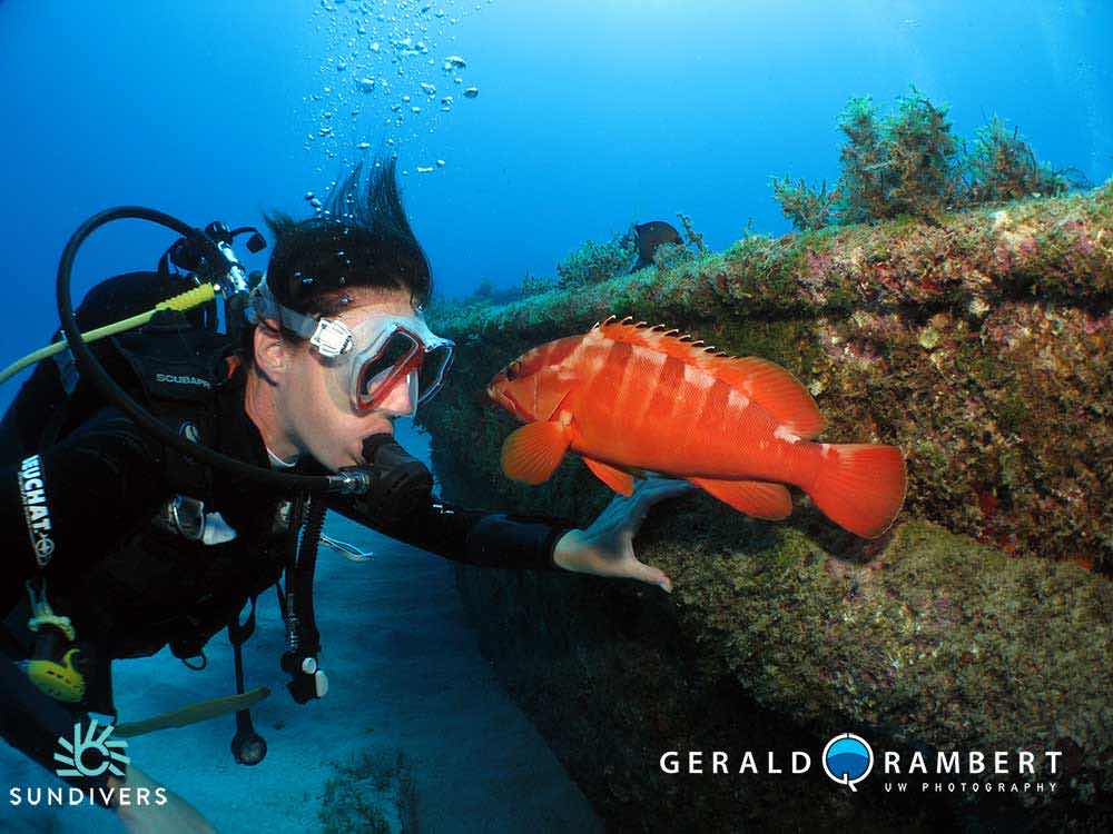 Trident Freediving Mauritius photo 4