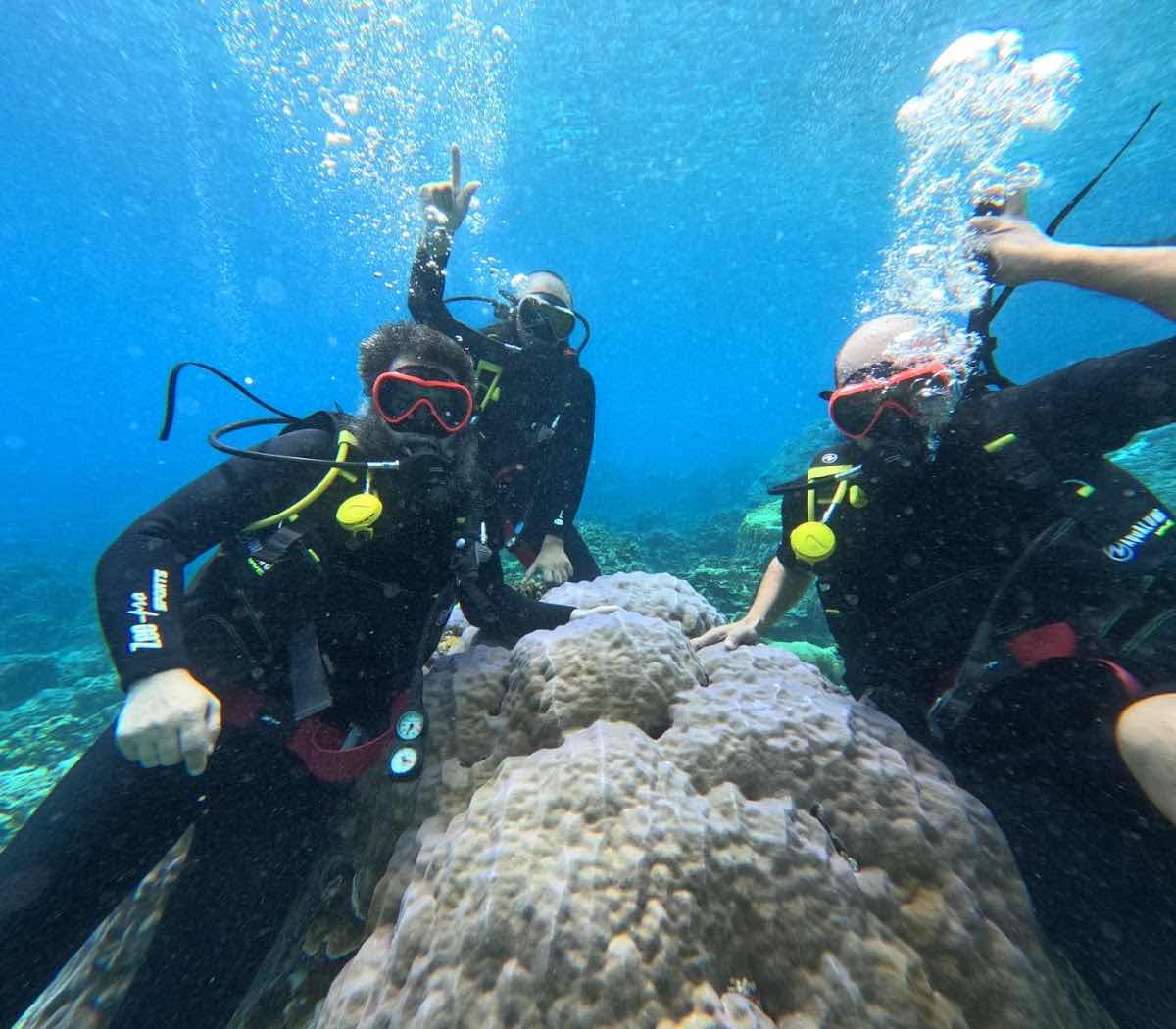 Terumbu Divers photo 7