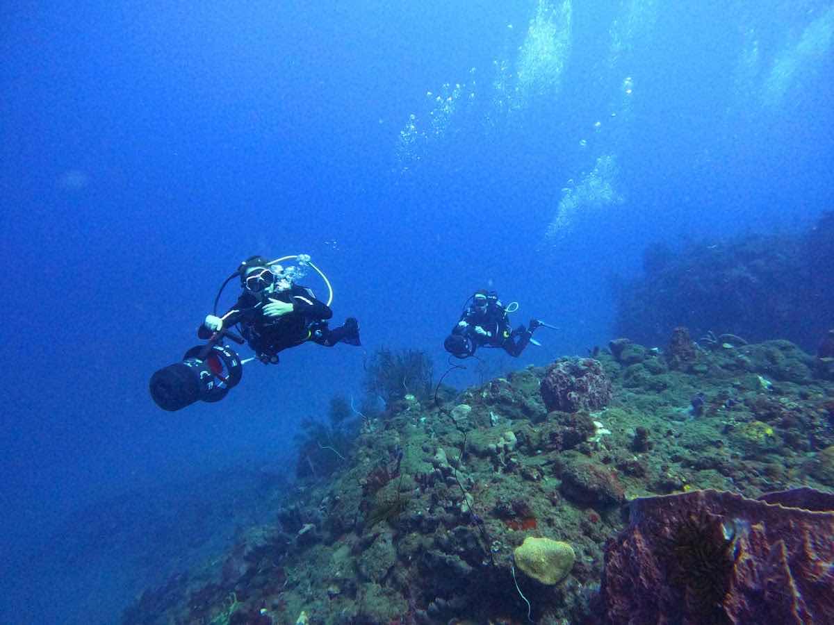 Turtle Dive Tek photo 3
