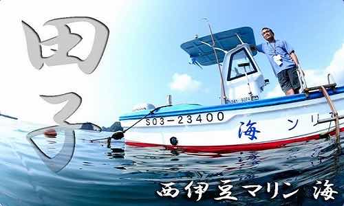 Arari Dive Service photo 9