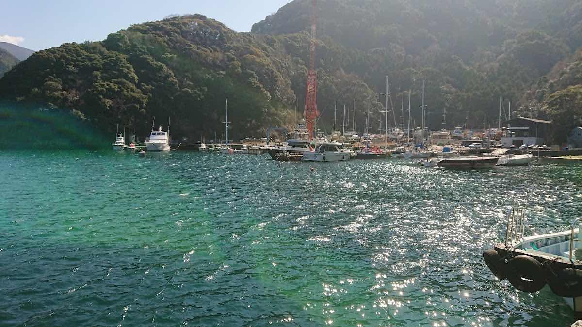 Arari Dive Service photo 10