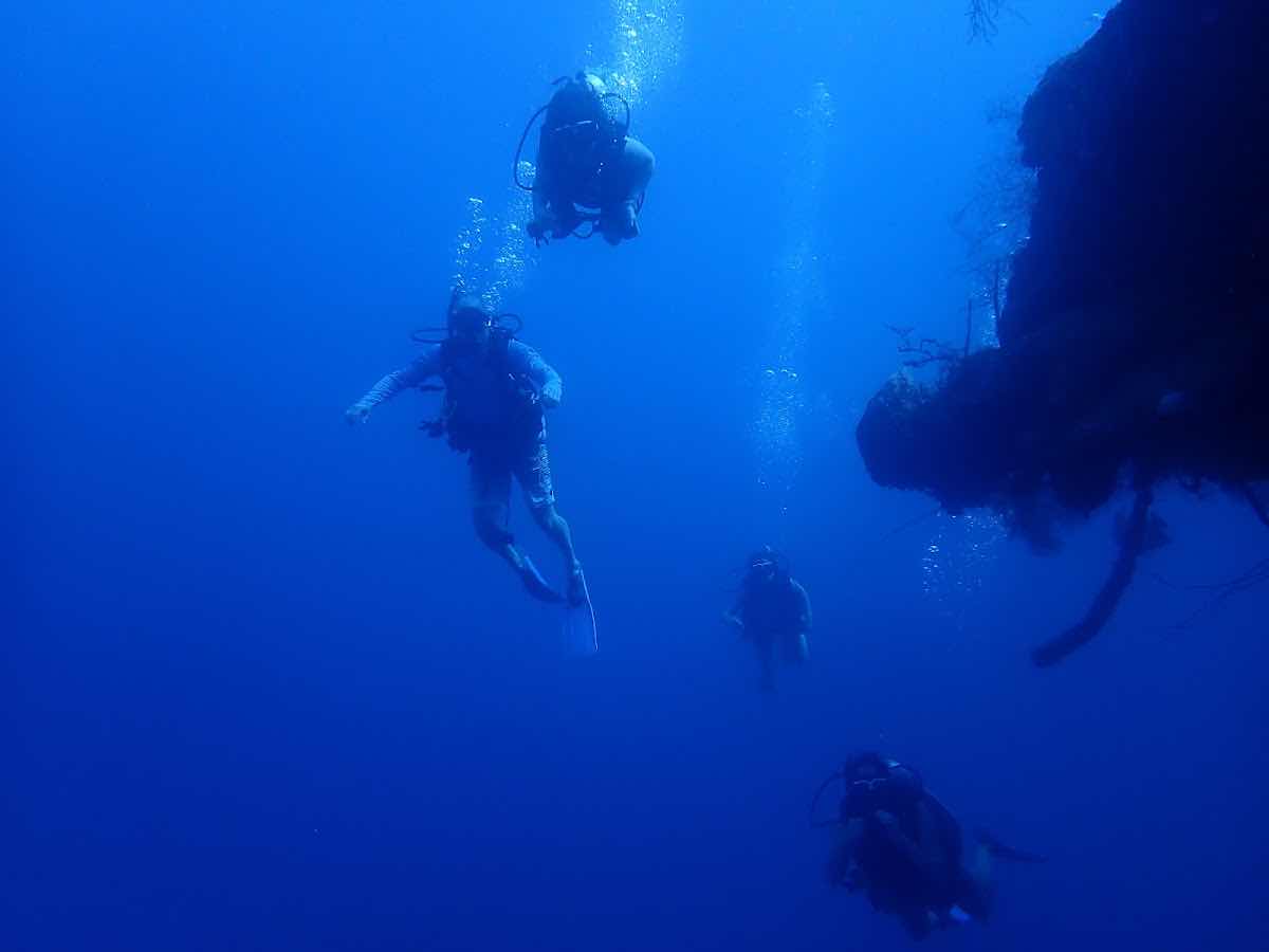 Roatan Seaside Divers photo 1
