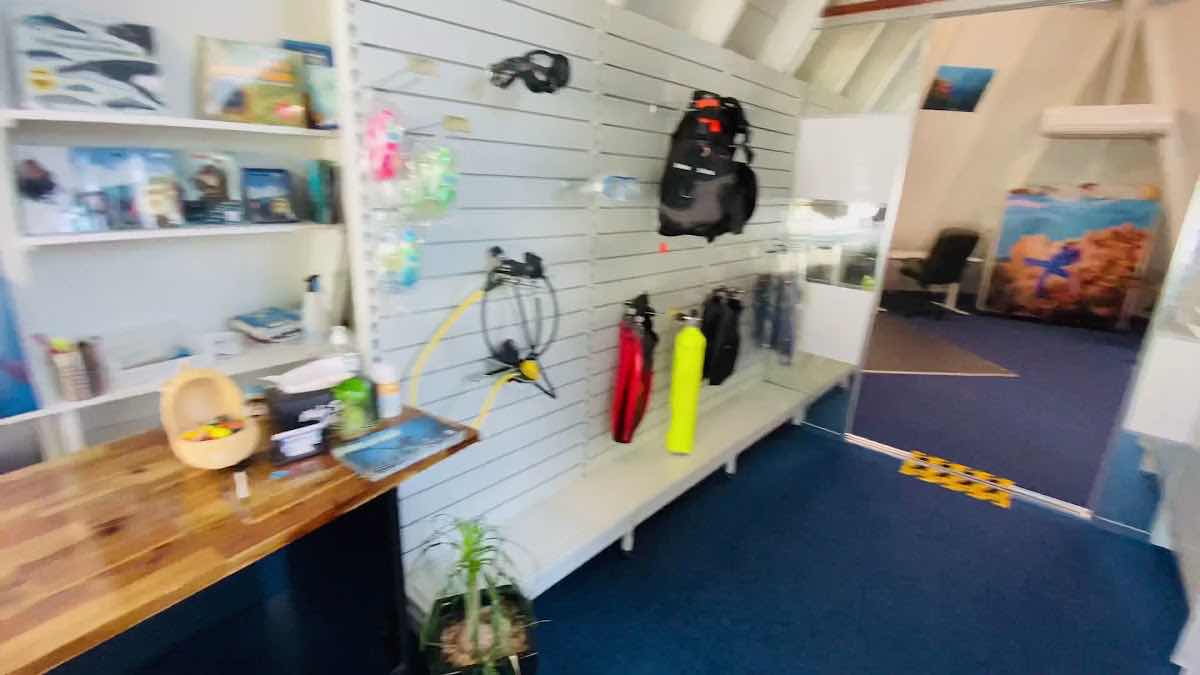Airlie Beach Dive & Snorkel Centre photo 3
