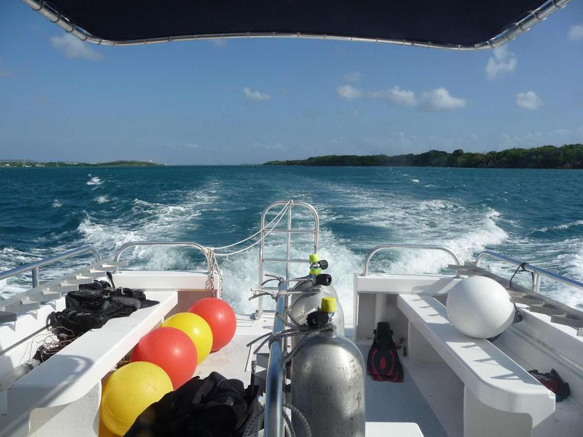 Mermaid Dive Center Aruba photo 9