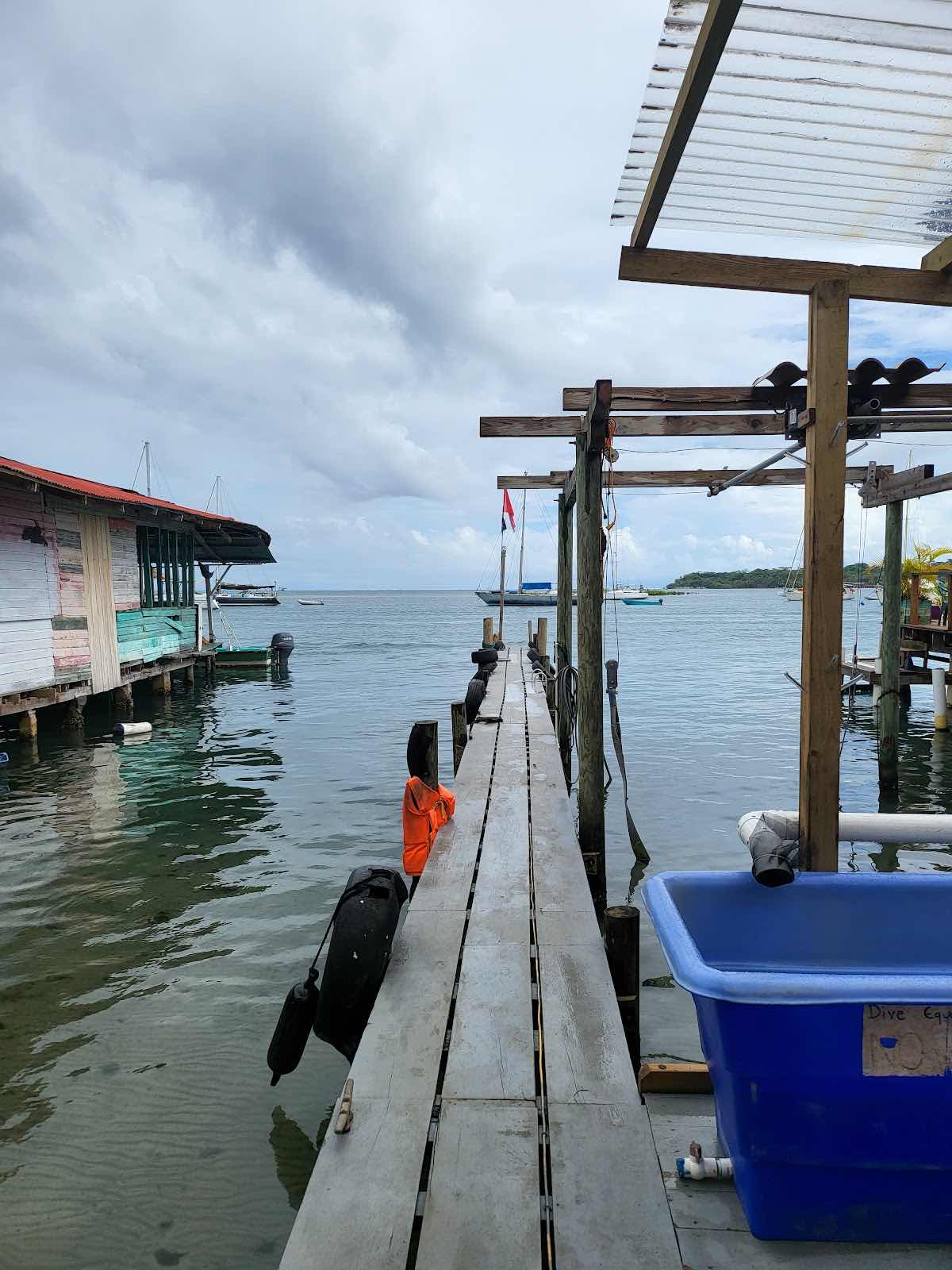 Bocas Pirates Dive Center photo 5