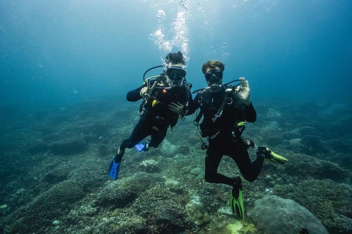 Blue Corner Dive - Nusa Penida. Best dive centre in Nusa Penida. (pt sudut biru nusa penida) photo 1