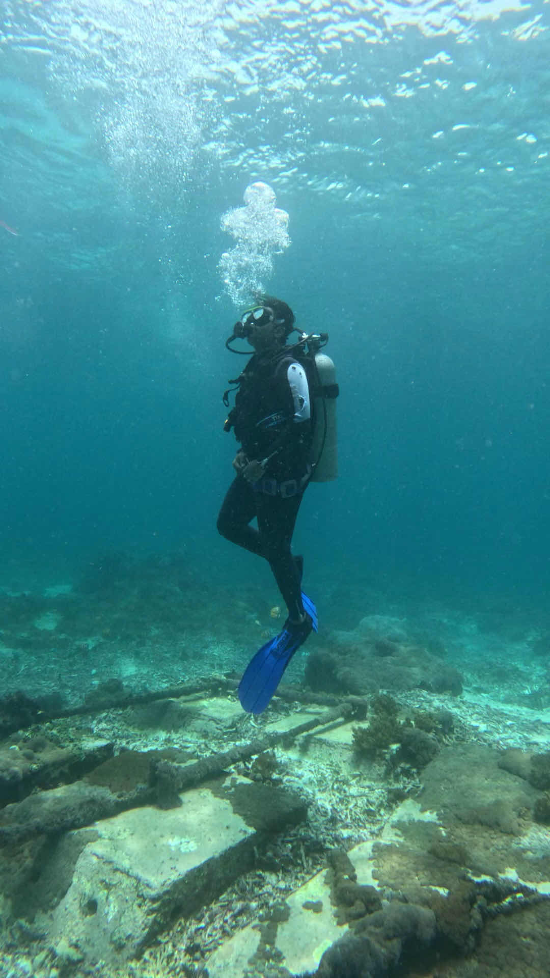 Blue Corner Dive - Nusa Penida. Best dive centre in Nusa Penida. (pt sudut biru nusa penida) photo 8