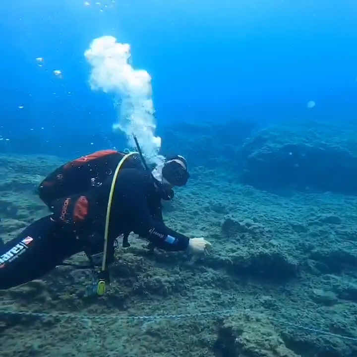 Athens Divers Club SSI photo 4