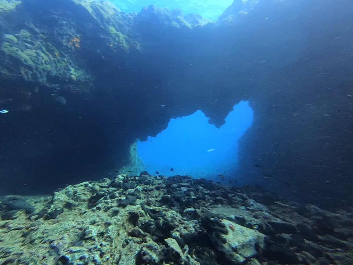 Athens Divers Club SSI photo 10