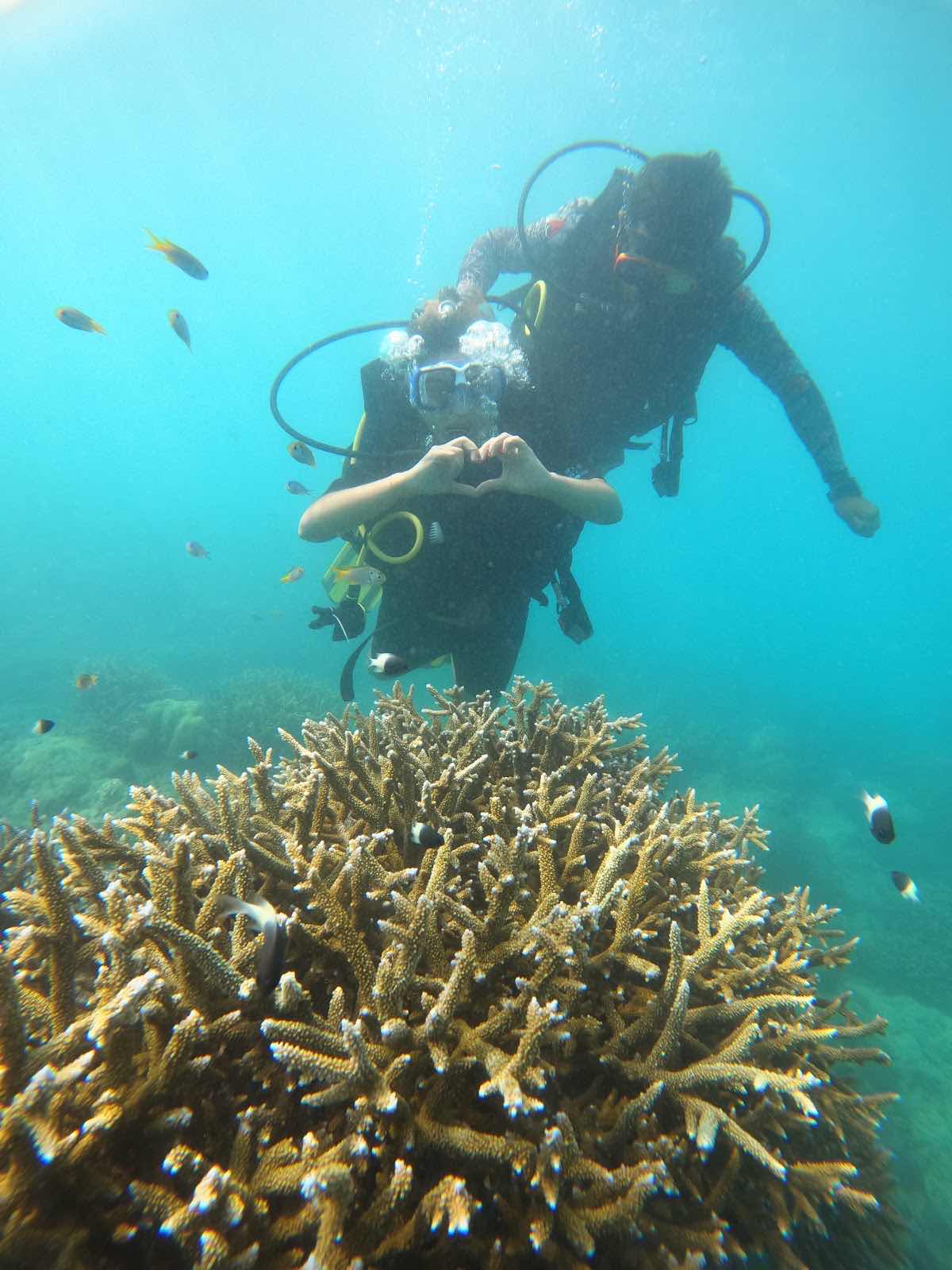 Scuba Dives photo 3