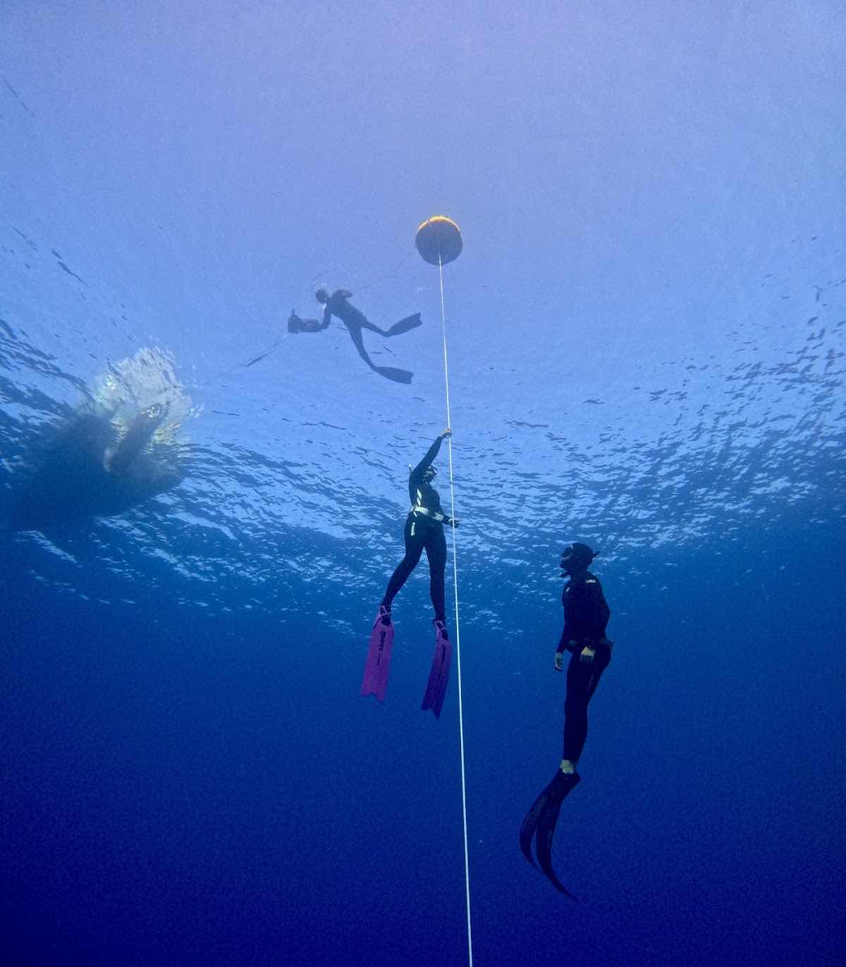 Apulmo Freediving - Centro de Apnea en Mallorca photo 7