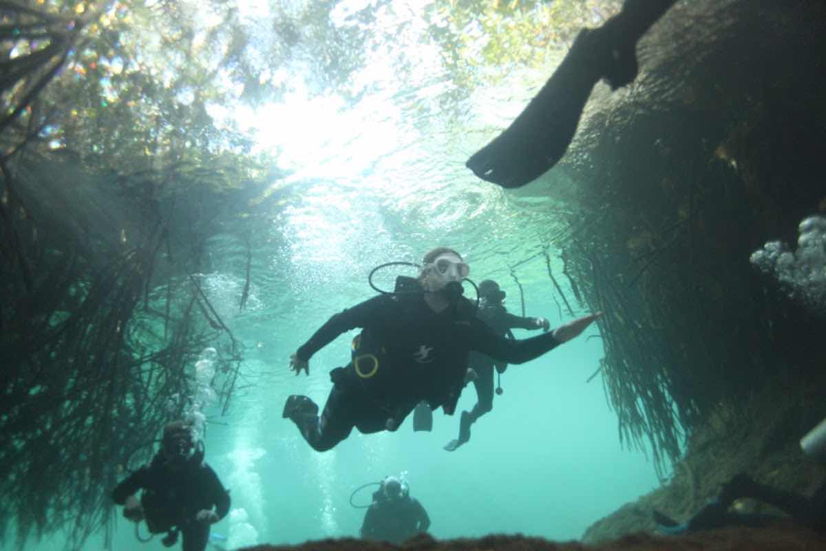 Snorkel Of Space photo 2