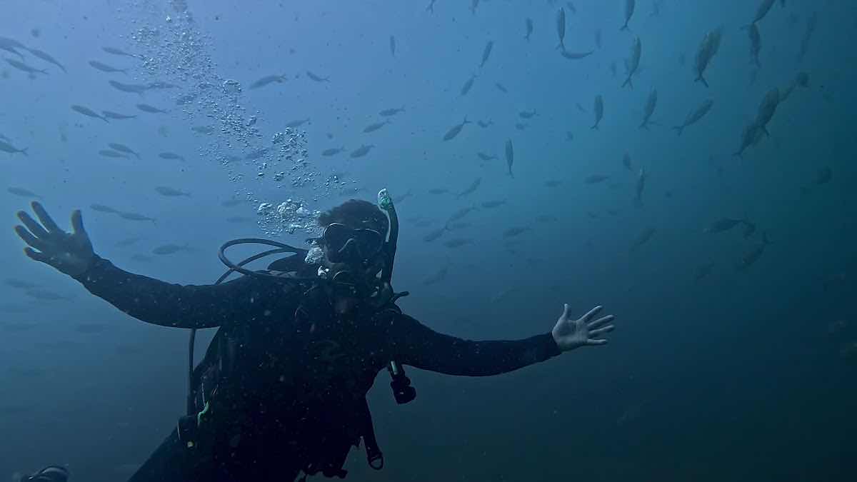 Vallarta Surf n' Dive photo 3