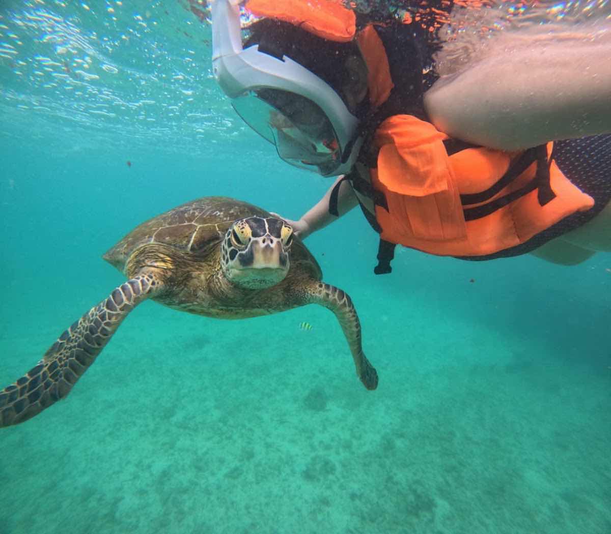 Diving Mirissa Snorkeling Tours photo 6