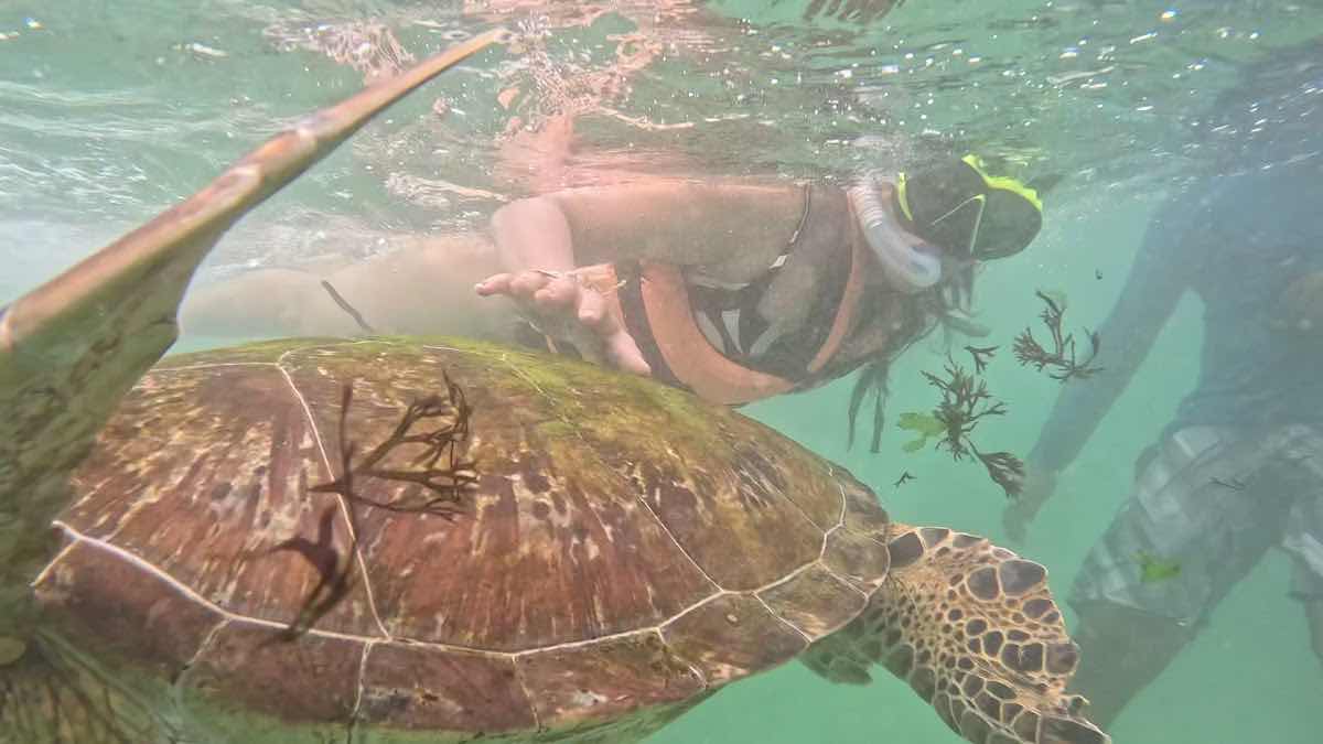 Diving Mirissa Snorkeling Tours photo 8