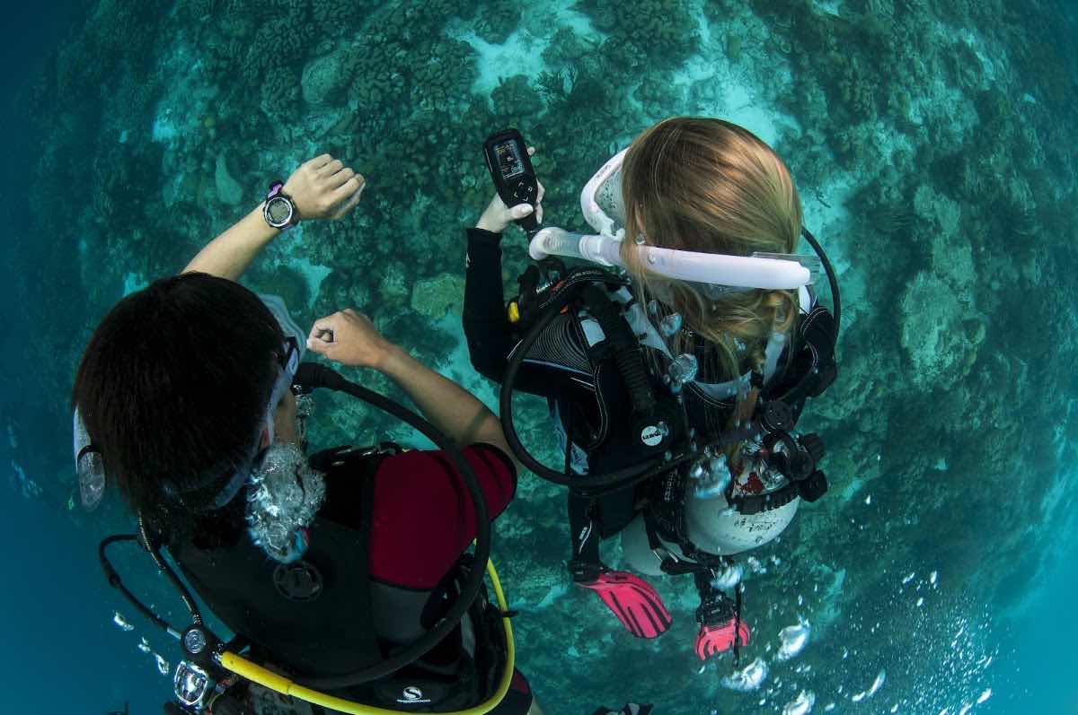 Cape Town Scuba Dive photo 2