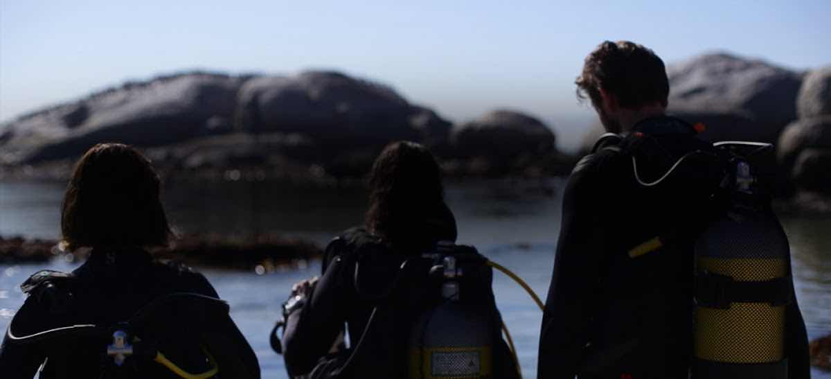 Cape Town Scuba Dive photo 4
