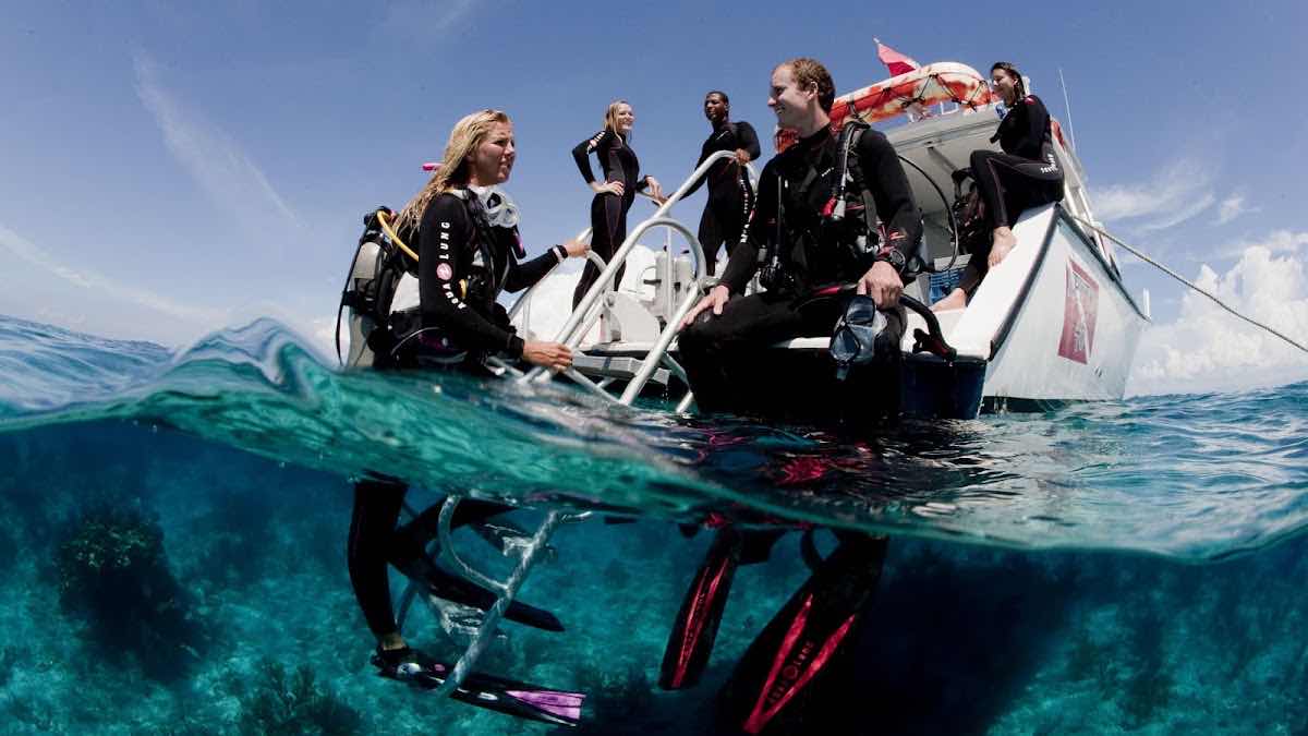 Cape Town Scuba Dive photo 5