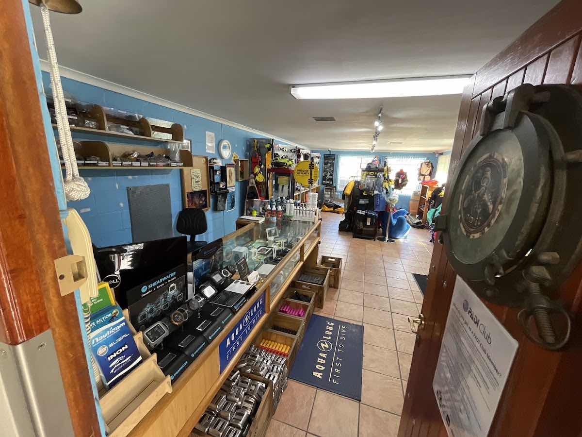Cape Town Scuba Dive photo 7