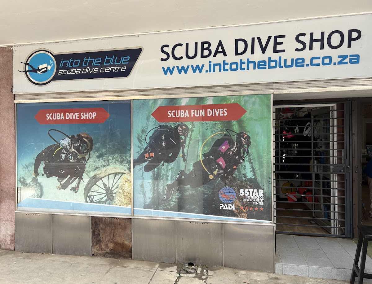 Cape Town Scuba Dive photo 8