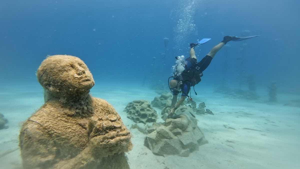 dive the Rock photo 9
