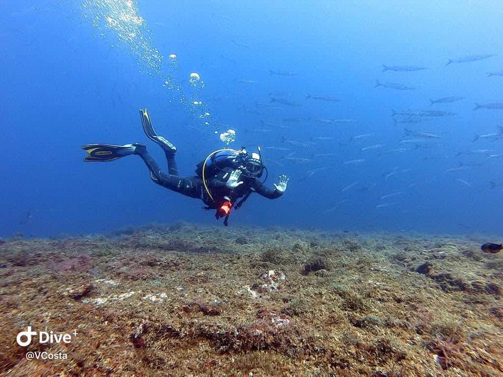 São Jorge Dive & Sail Center photo 1