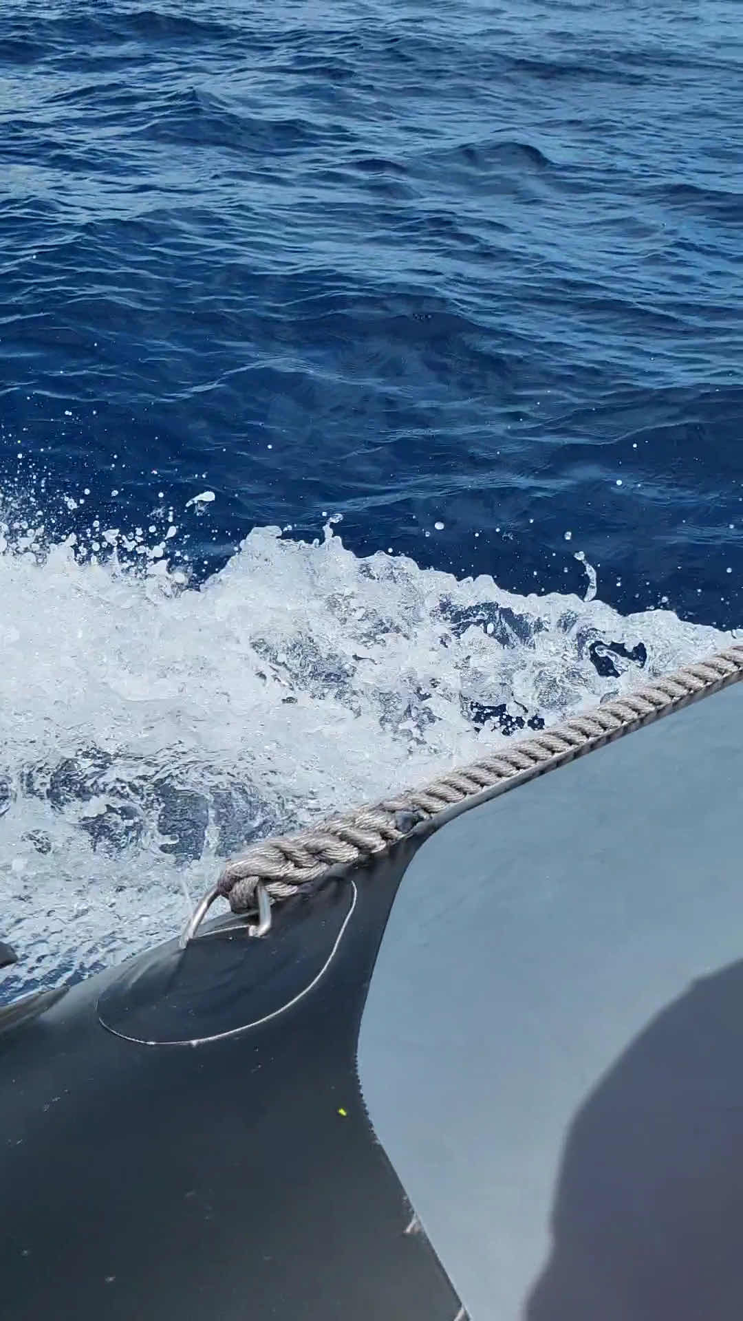 São Jorge Dive & Sail Center photo 3