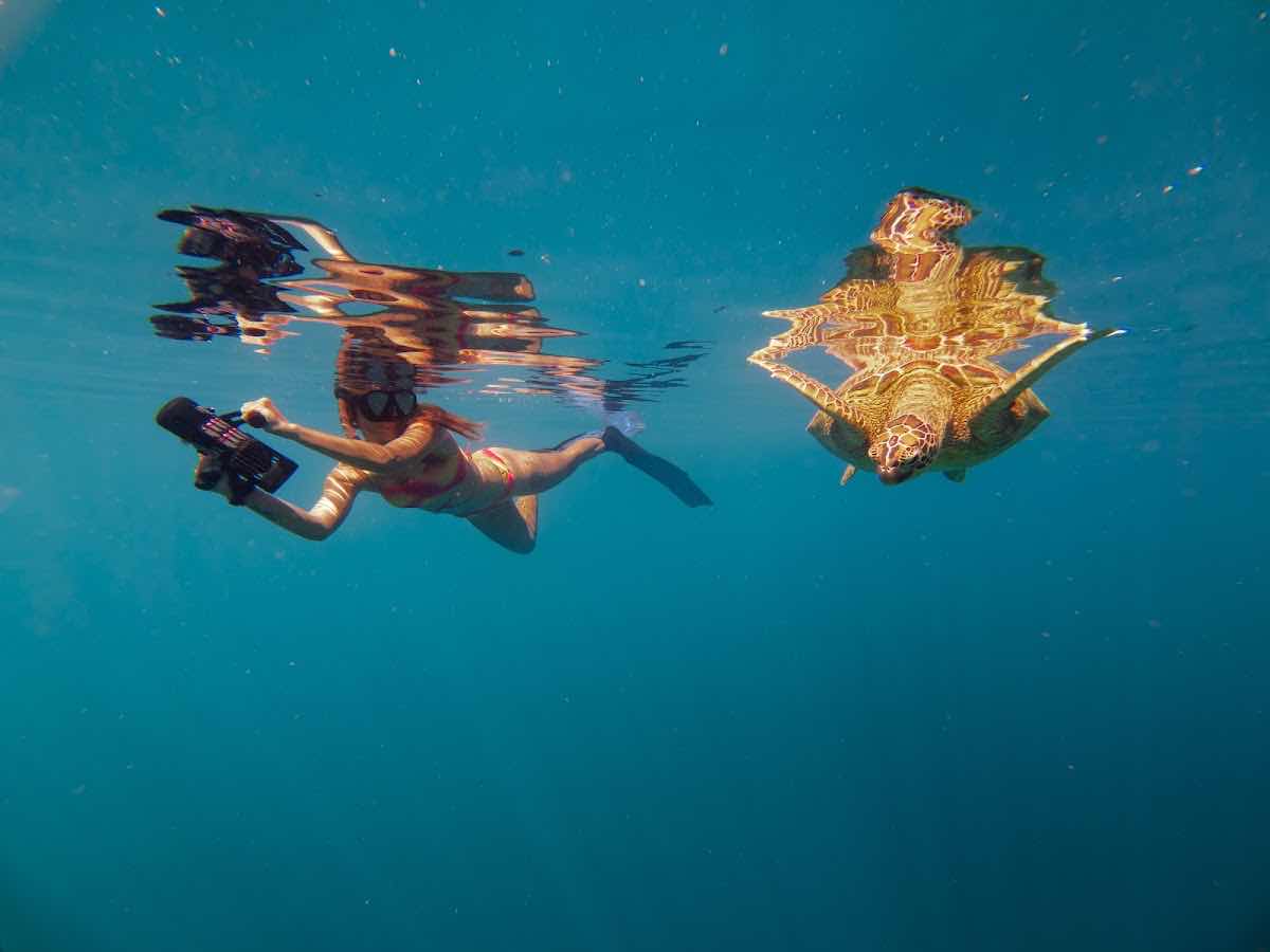 Adventure Cook Islands Ltd photo 9