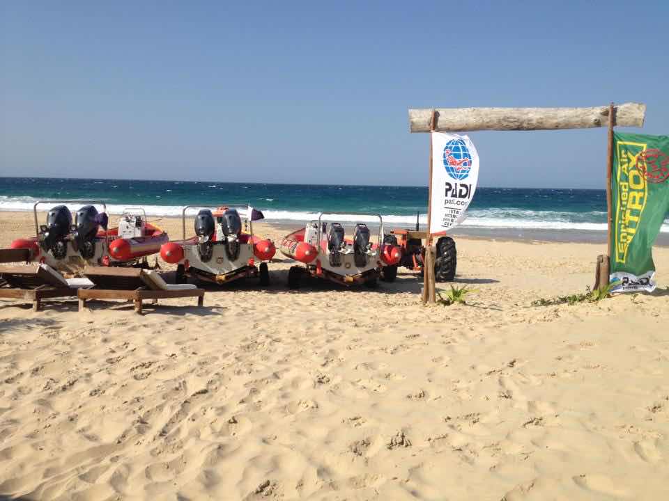 Peri Peri Divers Tofo | Scuba Dive Center photo 5
