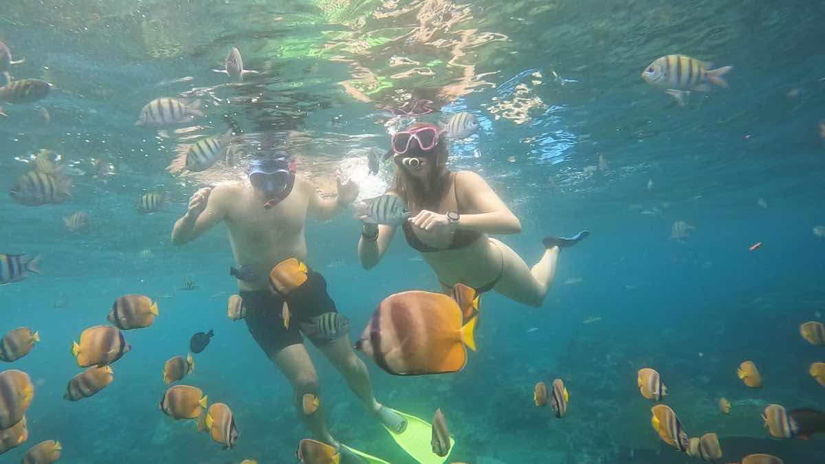 Snorkeling at Nusa Penida photo 3