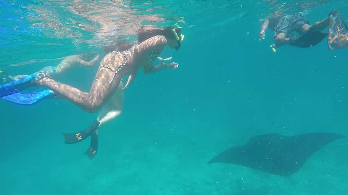 Snorkeling at Nusa Penida photo 5