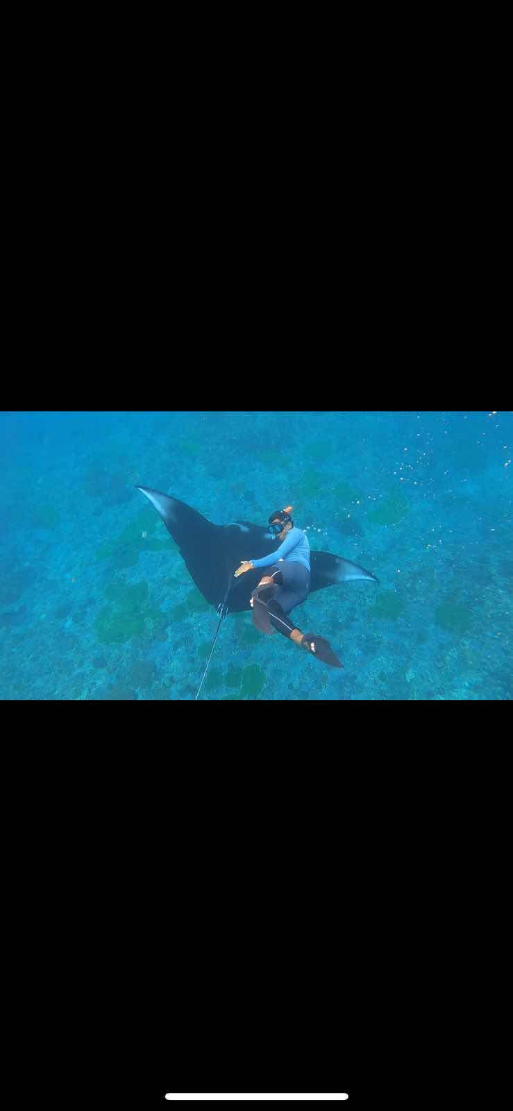 Snorkeling at Nusa Penida photo 6