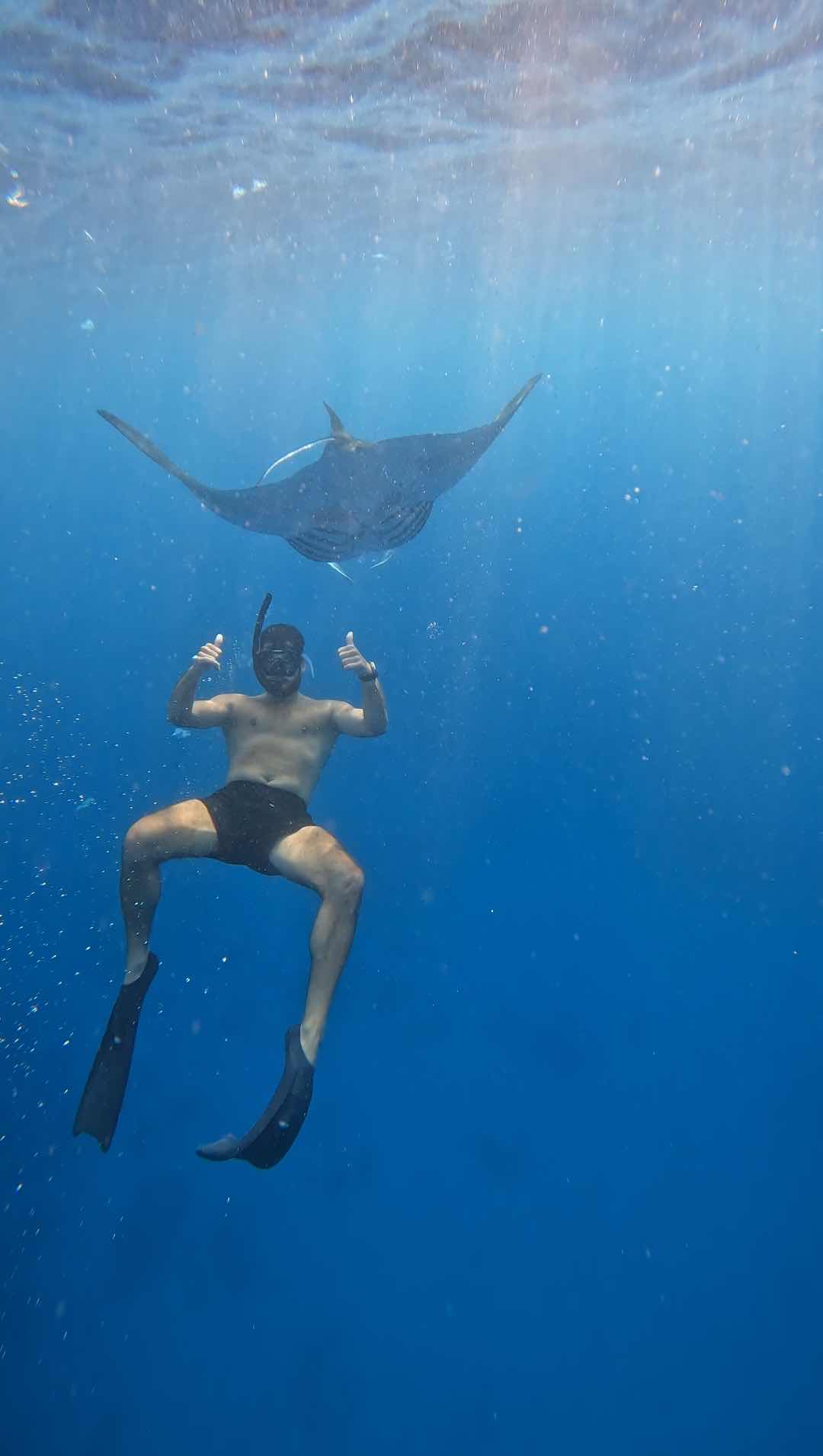 Snorkeling at Nusa Penida photo 7