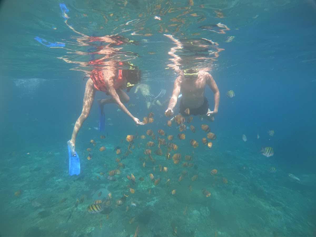 Snorkeling at Nusa Penida photo 9