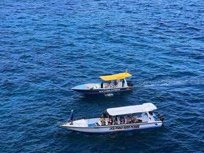Snorkeling at Nusa Penida photo 10
