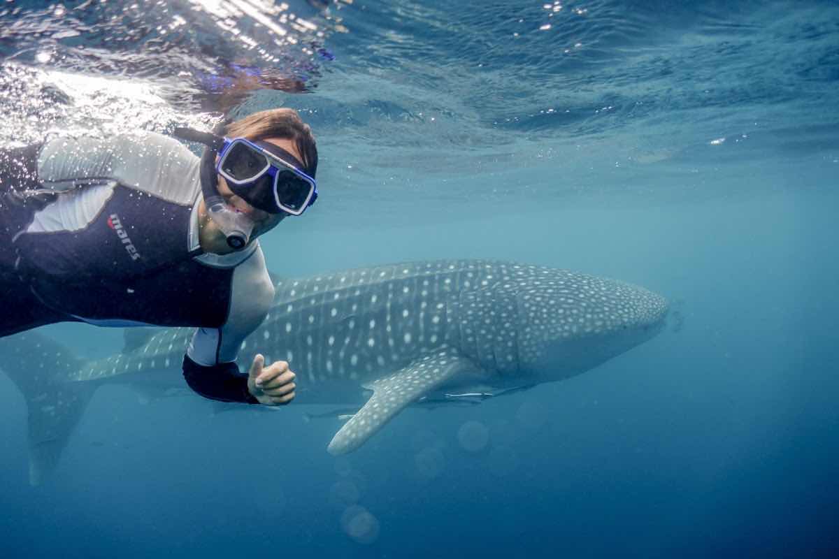 Dolphin Excursions Djibouti photo 5