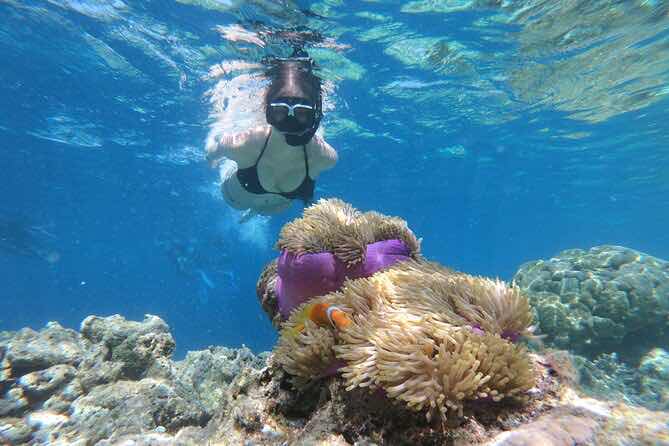 AquaSamoa photo 8