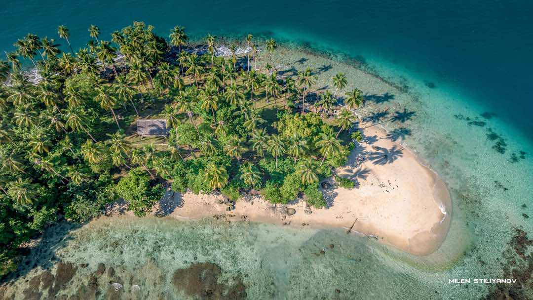 Niugini Dive Adventures photo 5
