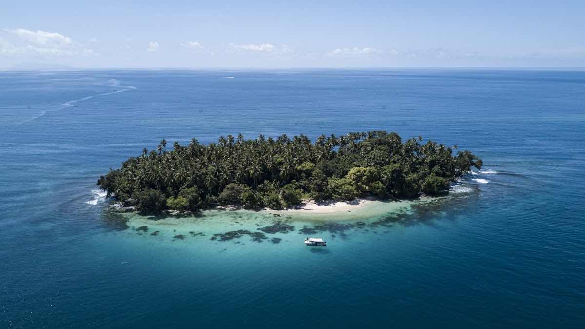 Niugini Dive Adventures photo 6